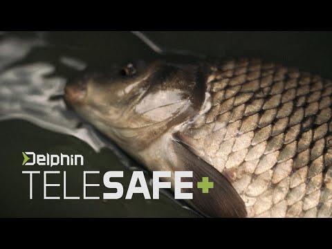 Cradle Telesave +