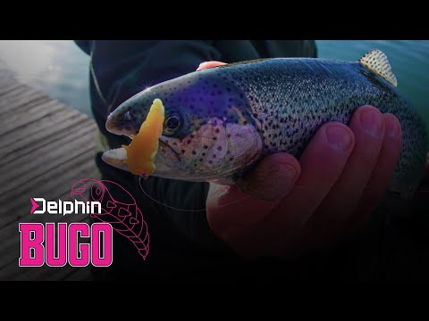 BUGO uv+  KAKAO 4 Cm